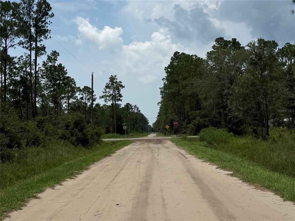 A dirt road leads to a rural intersection surrounded by dense pine trees and vegetation — 10620 DELGADO AVENUE, HASTINGS, FL