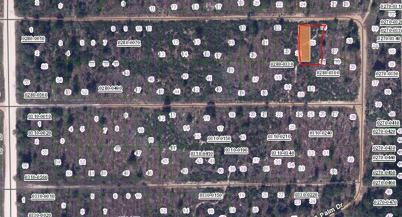 00 CHERRY STREET, INTERLACHEN, FL — photo 2 of 3