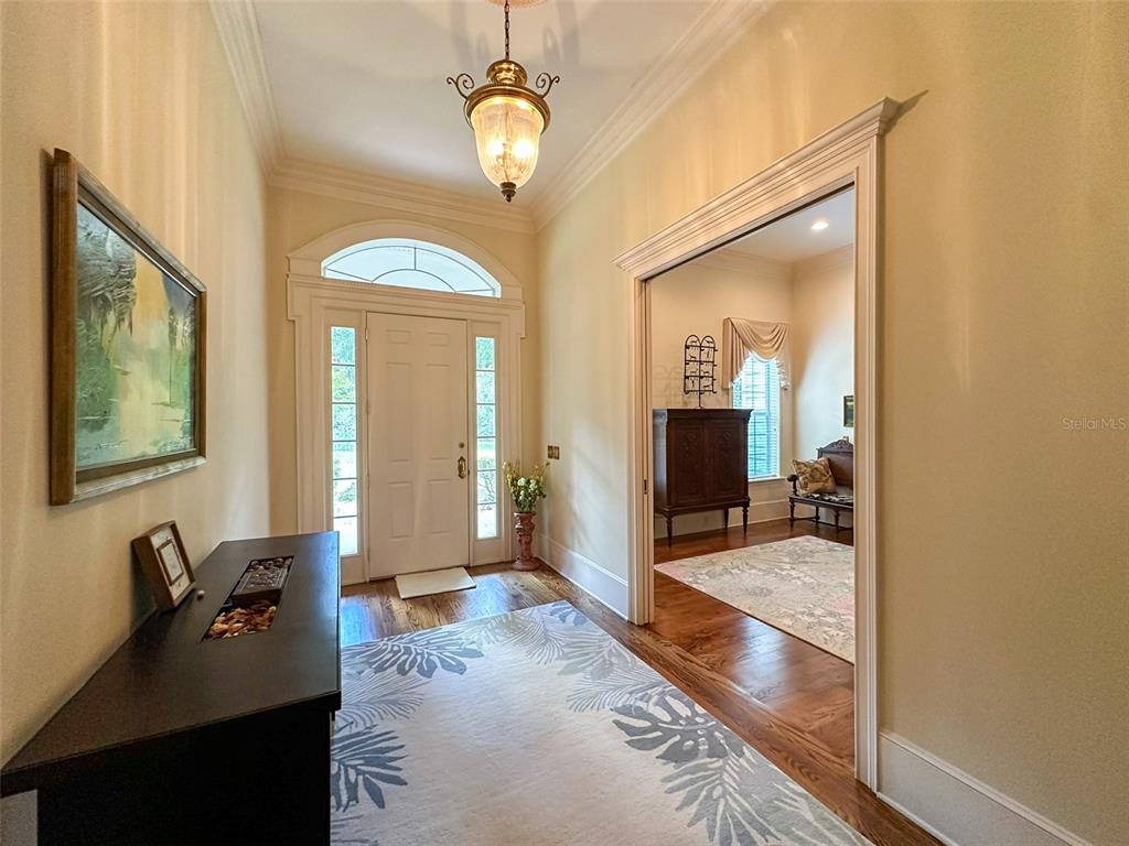 An entryway features a white front door, a patterned rug, and a view into a room — 6425 NW 202ND PLACE, MICANOPY, FL