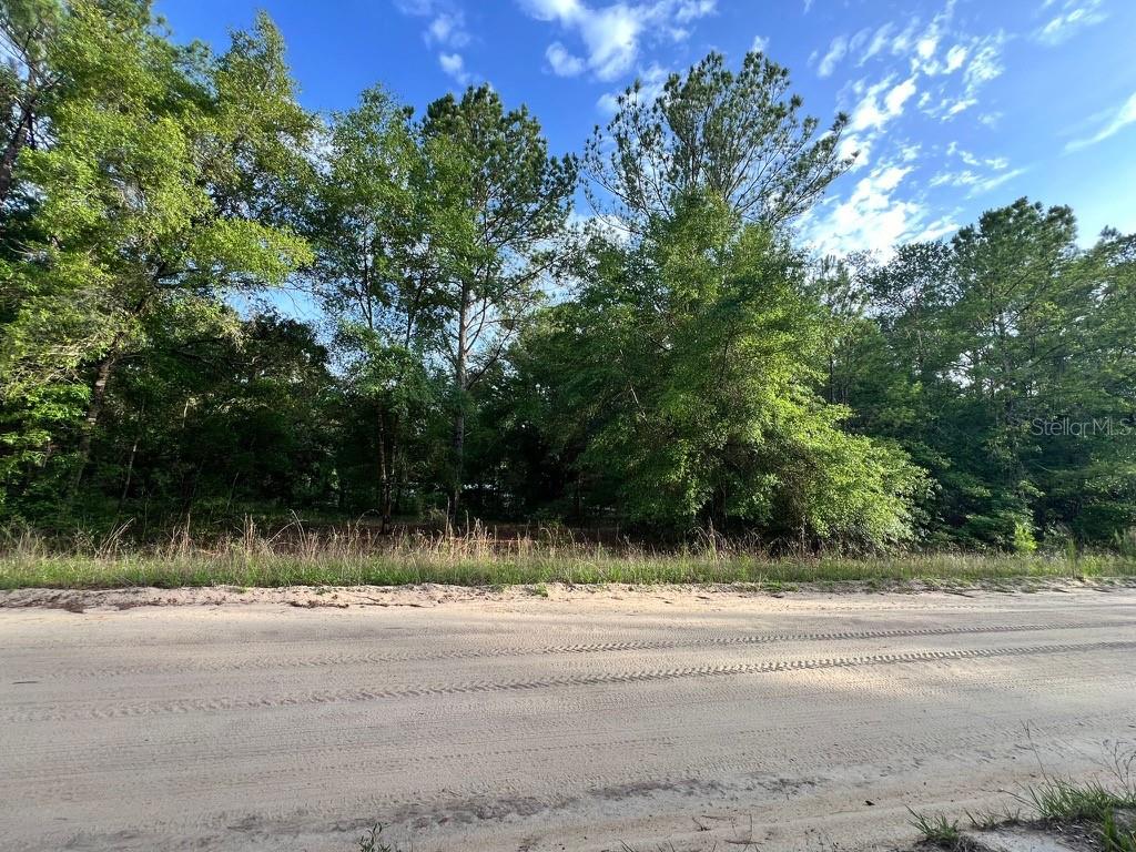 A dirt road runs in front of a wooded, undeveloped lot under a blue sky — DECKER STREET LOT 12 13, INTERLACHEN, FL