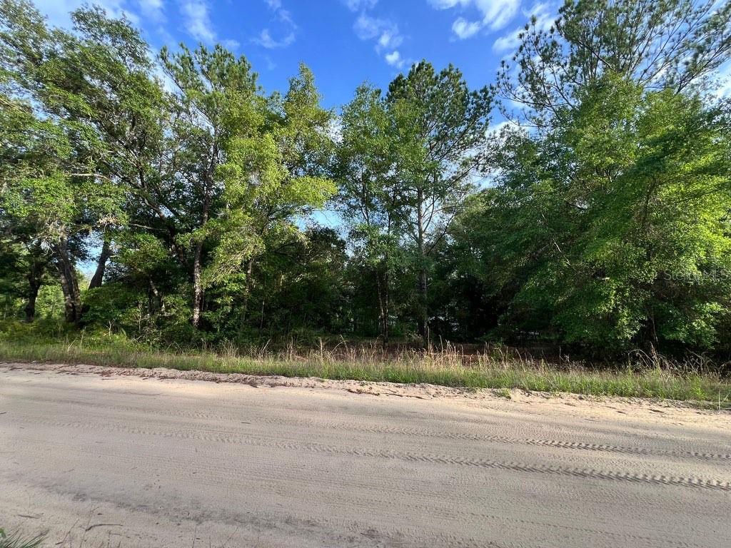A dirt road runs in front of a densely wooded, undeveloped plot of land — DECKER STREET LOT 12 13, INTERLACHEN, FL