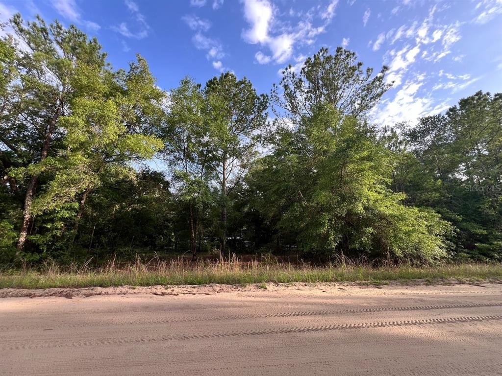 A dirt road runs in front of a wooded lot with tall green trees — DECKER STREET LOT 12 13, INTERLACHEN, FL