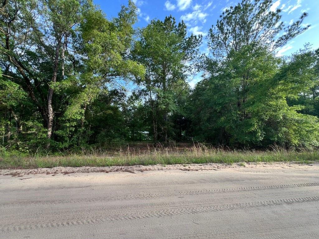 A dirt road runs in front of a wooded, undeveloped lot with dense trees — DECKER STREET LOT 12 13, INTERLACHEN, FL
