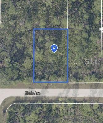 This aerial map view shows a rectangular plot of land bordering Zittle Avenue — 12090 ZITTLE AVENUE, PORT CHARLOTTE, FL