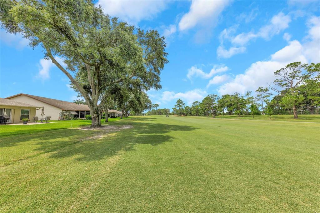 A view of a grassy golf course fairway adjacent to a residential house with trees — 1308 GILLESPIE DRIVE, PALM HARBOR, FL
