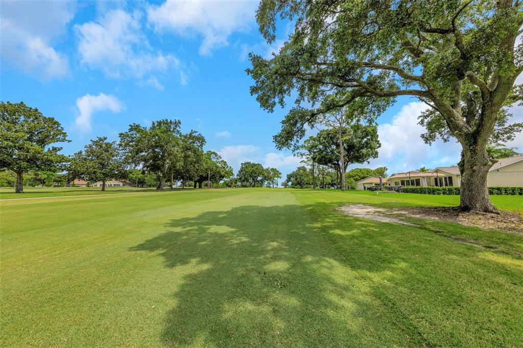 A view of a grassy golf course fairway lined with large trees and nearby houses — 1308 GILLESPIE DRIVE, PALM HARBOR, FL