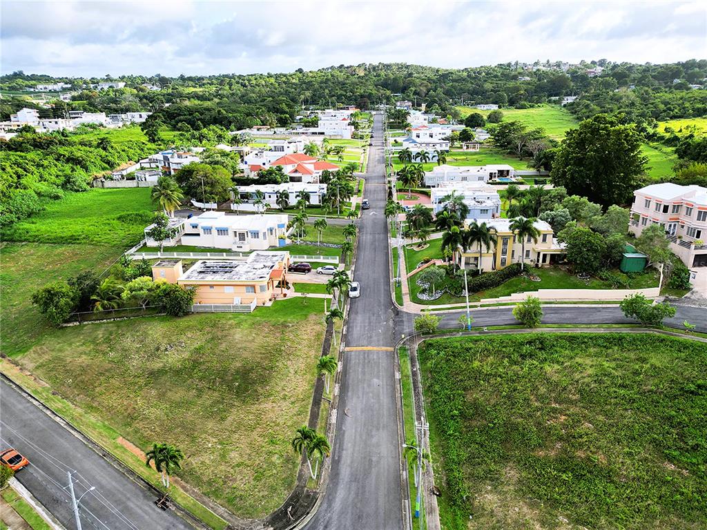 An aerial view shows a residential street lined with houses, palm trees, and grassy lots — HACIENDAS DE CAMUY LOTE 9, CAMUY, PR