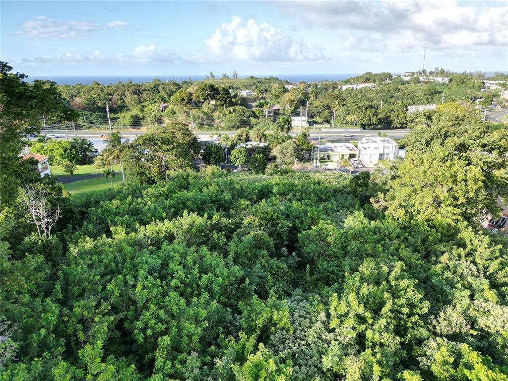 An elevated view shows a dense, tree-covered lot overlooking a road, houses, and the ocean — HACIENDAS DE CAMUY LOTE 9, CAMUY, PR