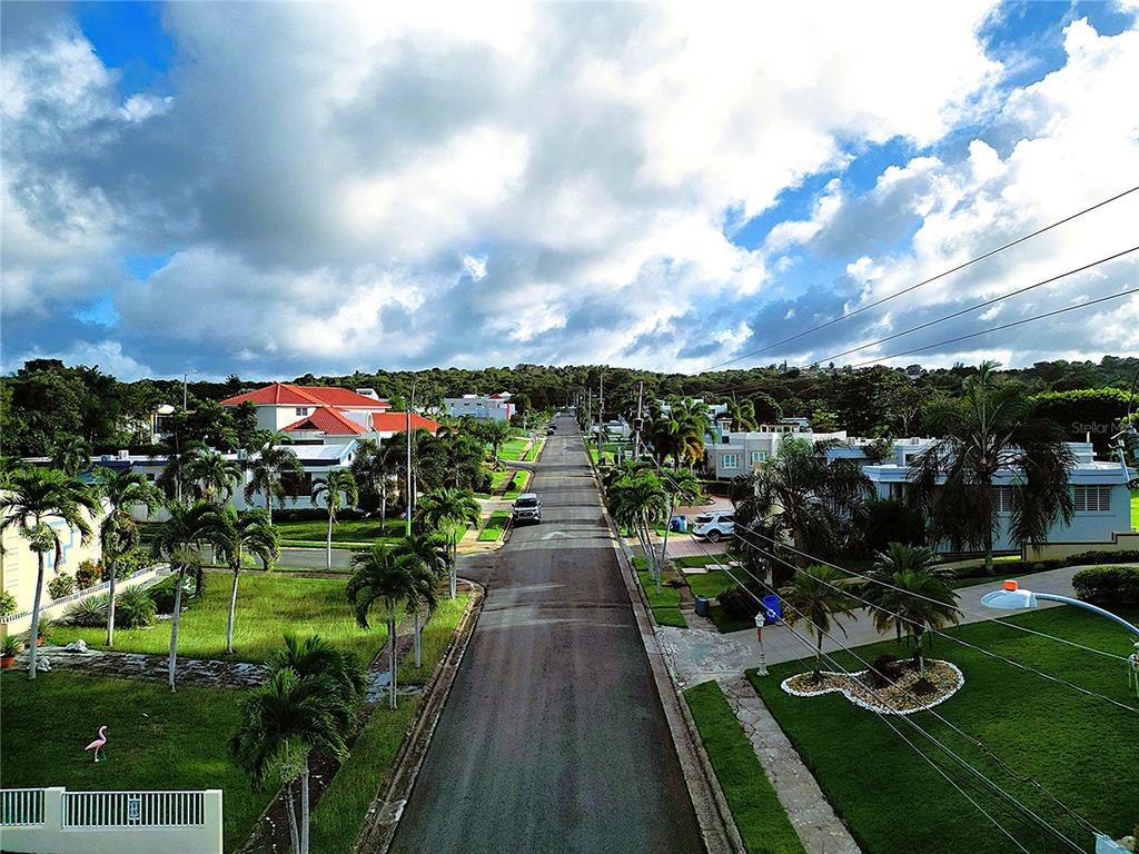 An elevated view of a residential street lined with palm trees, houses, and green lawns — HACIENDAS DE CAMUY LOTE 9, CAMUY, PR