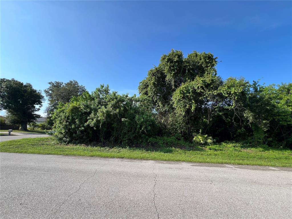 A vacant, overgrown lot with dense trees and shrubs borders an asphalt street — 3239 MANHATTAN STREET, PORT CHARLOTTE, FL