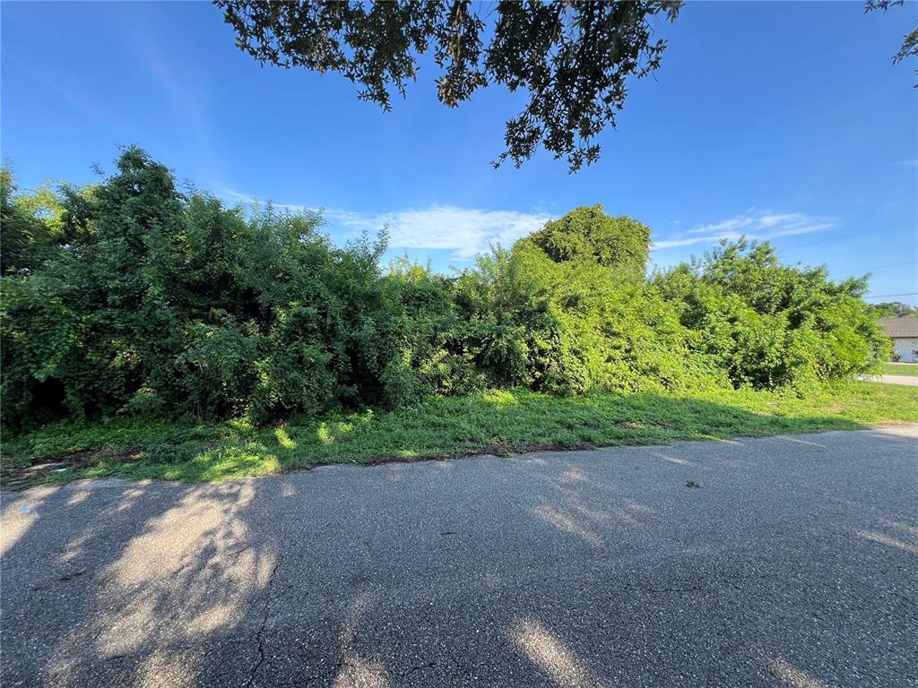 A dense thicket of green trees and bushes borders a paved asphalt road — 3239 MANHATTAN STREET, PORT CHARLOTTE, FL