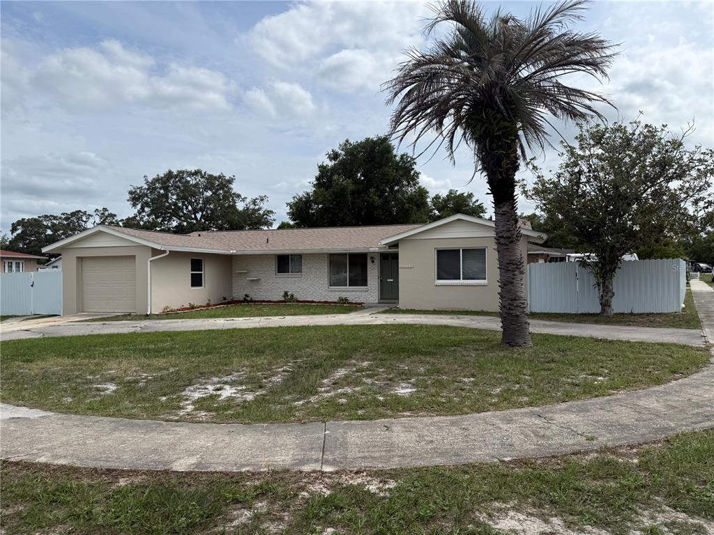 A single-story house with a beige exterior, a garage, and a palm tree in front — 6568 TREEHAVEN DRIVE, SPRING HILL, FL