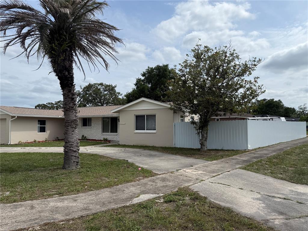 A single-story house with a beige exterior, a palm tree, and a white privacy fence — 6568 TREEHAVEN DRIVE, SPRING HILL, FL