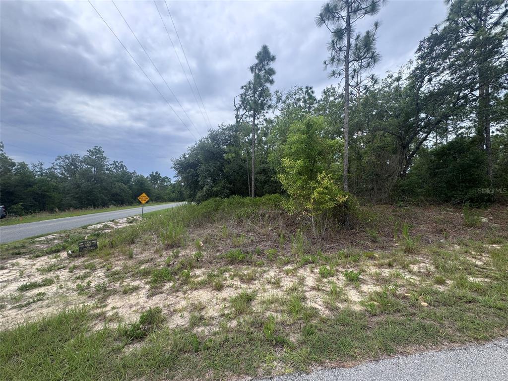 A vacant, wooded lot sits beside a paved road under a cloudy sky — 0 SW EGDEWATER BOULEVARD, DUNNELLON, FL