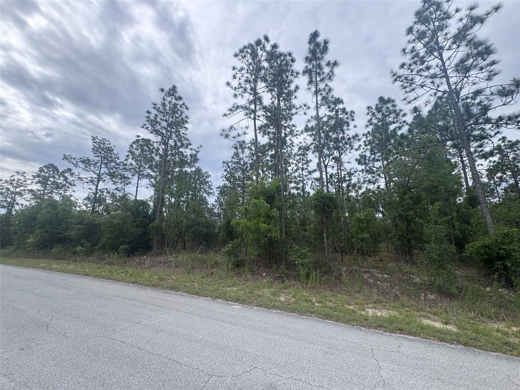 A paved road runs alongside a wooded lot with tall pine trees under a cloudy sky — 0 SW EGDEWATER BOULEVARD, DUNNELLON, FL
