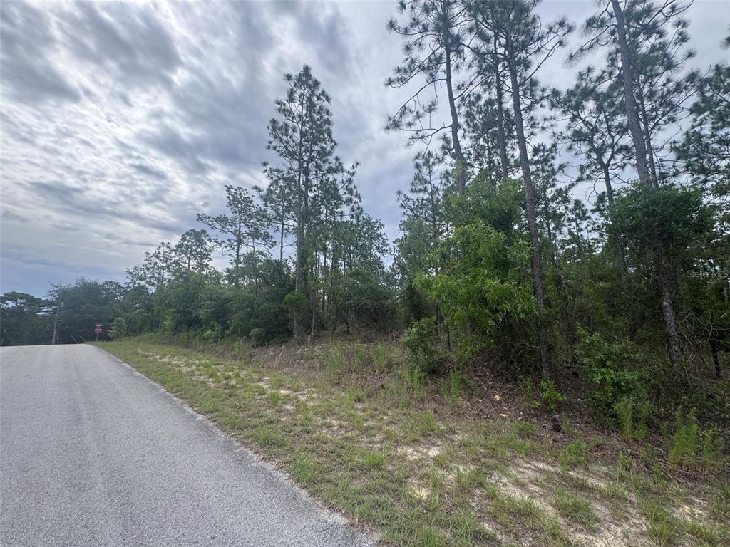 A paved road runs alongside a wooded, undeveloped plot of land under a cloudy sky — 0 SW EGDEWATER BOULEVARD, DUNNELLON, FL