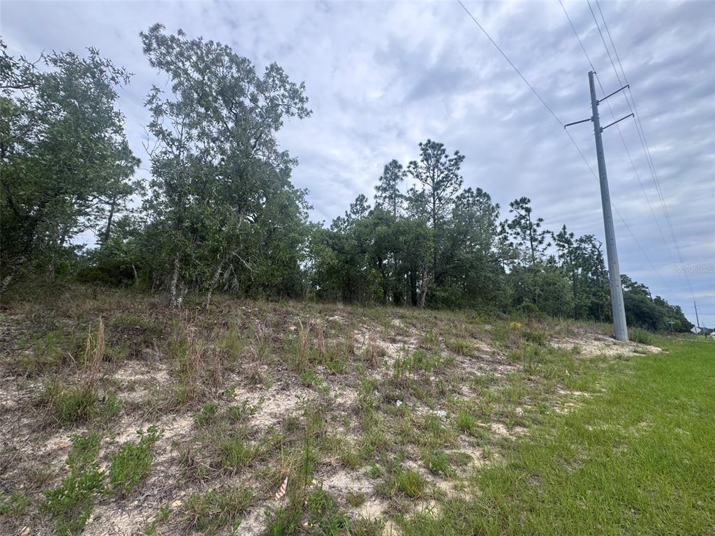 A grassy, sandy lot features a line of trees and a tall utility pole — 0 SW EGDEWATER BOULEVARD, DUNNELLON, FL