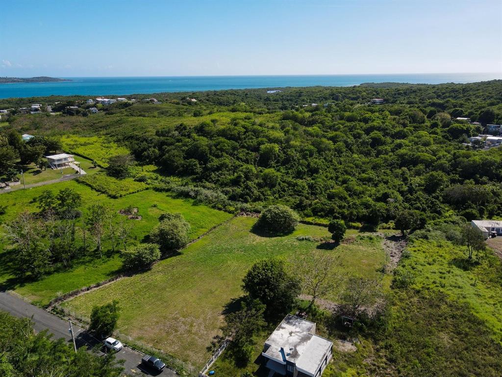 An aerial view shows a grassy lot with a small house and dense surrounding vegetation — BO PEDERNALES BEACH SE UNIT 2, CABO ROJO, PR