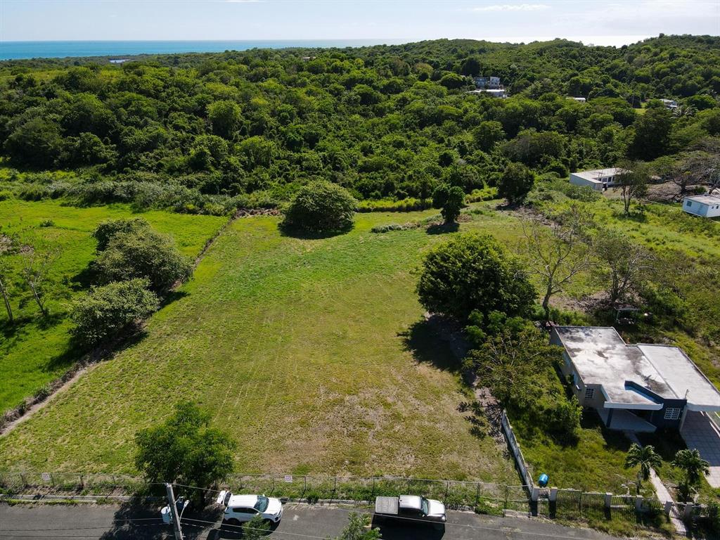 An aerial view shows a rectangular grassy lot bordered by trees, a road, and buildings — BO PEDERNALES BEACH SE UNIT 2, CABO ROJO, PR