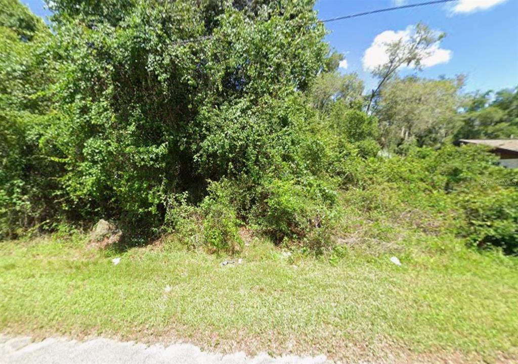 A dense, overgrown lot with trees and shrubs sits behind a patch of grass — 4935 S ROMANS AVENUE, INVERNESS, FL