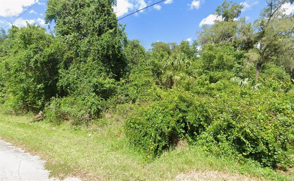 A dense, overgrown wooded lot sits adjacent to a paved road under a blue sky — 4935 S ROMANS AVENUE, INVERNESS, FL