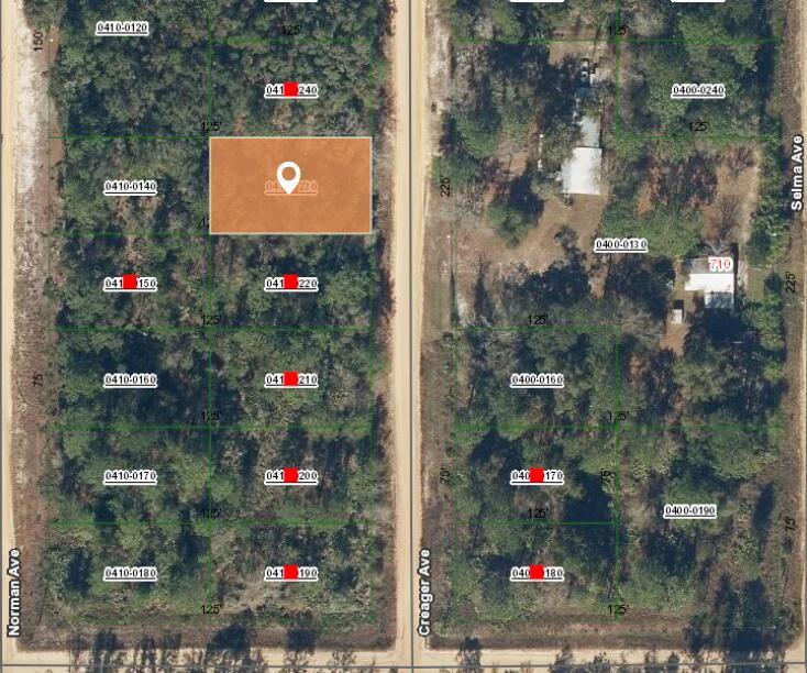 This is a satellite map view showing a highlighted rectangular land parcel among wooded lots — 004 Creager Avenue, FL 32148, FL