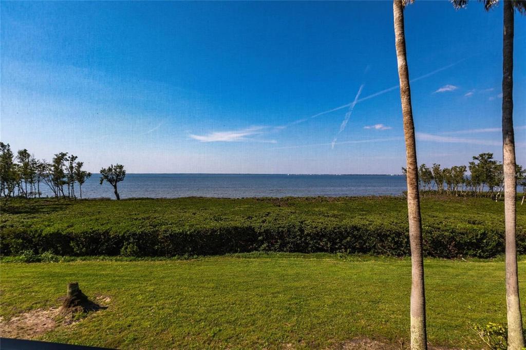 A view of a grassy lawn, palm trees, and dense foliage overlooking a large body of water — 93 VIVANTE BLVD UNIT 9323, PUNTA GORDA, FL