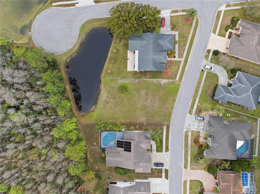 An aerial view shows houses with pools and driveways situated near a pond and woods — 1522 HAVERHILL DRIVE, NEW PORT RICHEY, FL