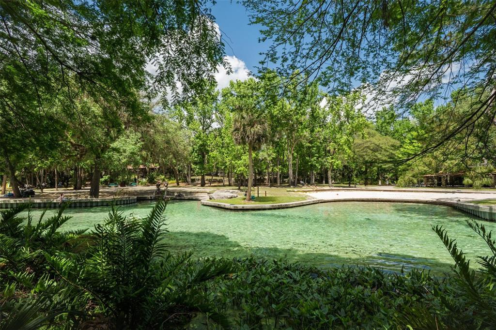 KELLY PARK ROAD E, APOPKA, FL — photo 3 of 22