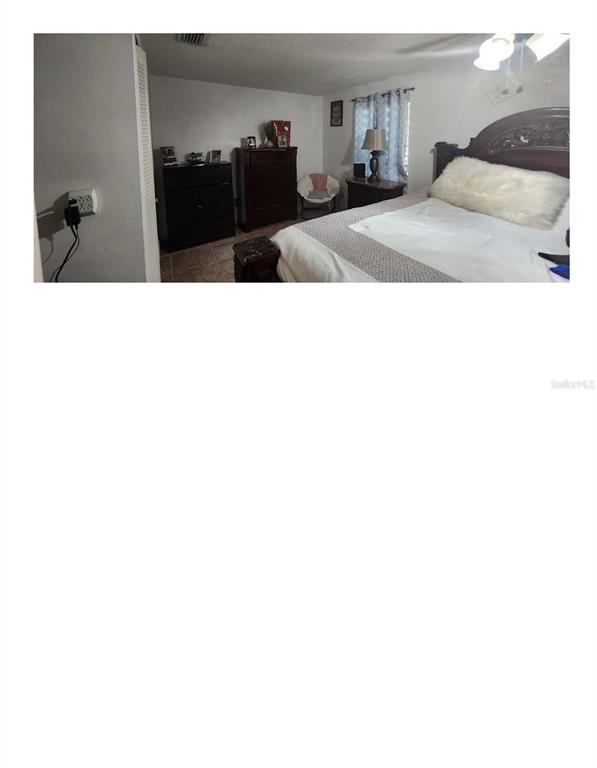 A bedroom features a dark wood bed frame, two dressers, and a small corner chair — 16009 BALLICA DRIVE, TAMPA, FL