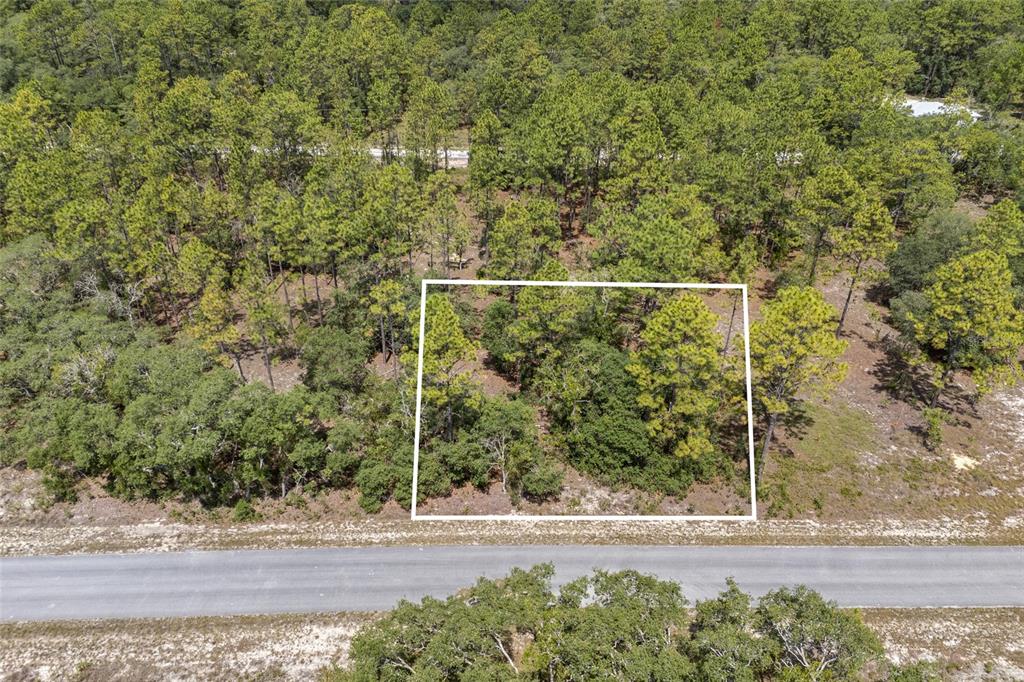 An aerial view shows a rectangular plot of wooded land bordered by a paved road — SW 134 TERRACE, DUNNELLON, FL