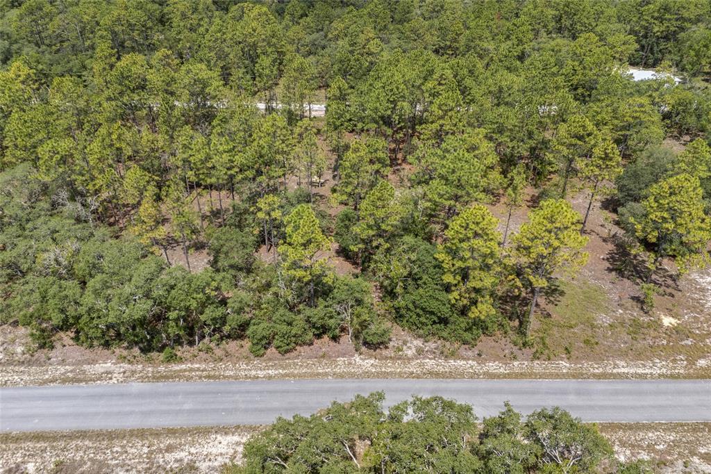 An aerial view shows a paved road running horizontally in front of a wooded lot — SW 134 TERRACE, DUNNELLON, FL