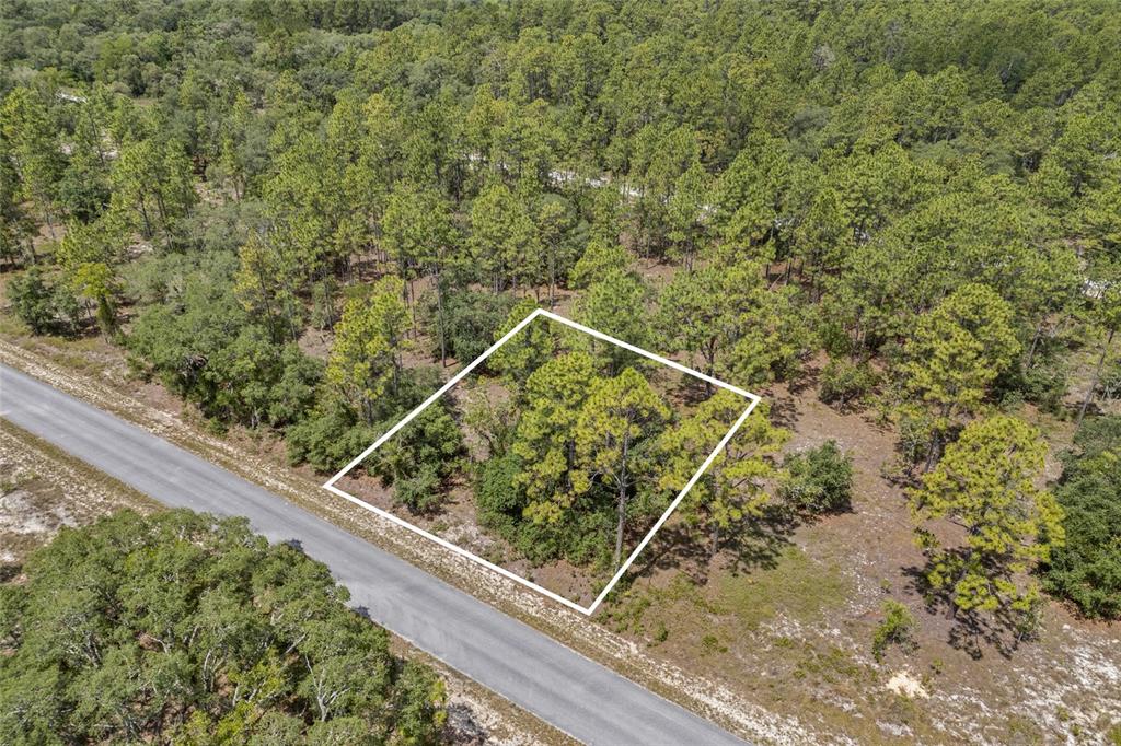 An aerial view shows a rectangular plot of land outlined in white beside a road — SW 134 TERRACE, DUNNELLON, FL