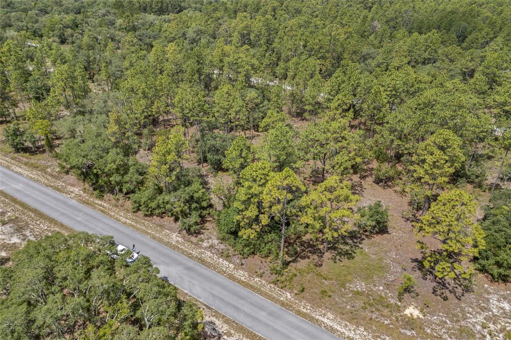 An aerial view shows a paved road running alongside a wooded lot with pine trees — SW 134 TERRACE, DUNNELLON, FL