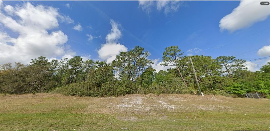 A vacant, grassy lot features a dense line of trees against a blue sky — COMMONWEALTH AVE N, POLK CITY, FL