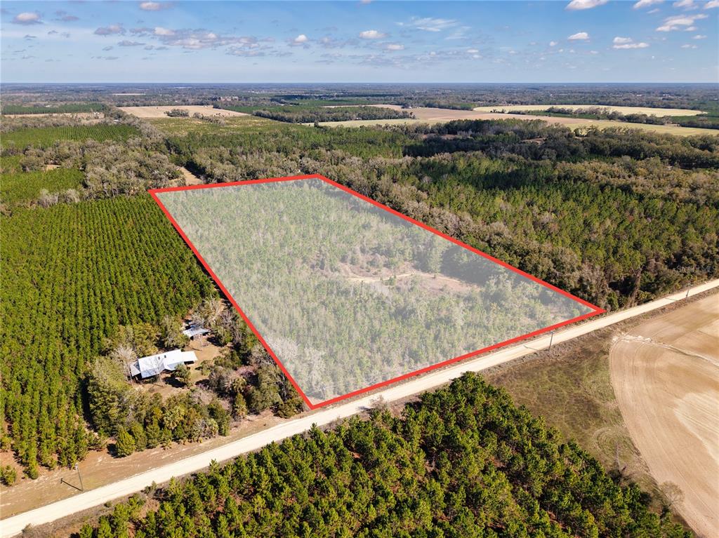 An aerial view shows a rectangular plot of forested land outlined in red near a road — Lot 17 SW 80TH STREET, TRENTON, FL