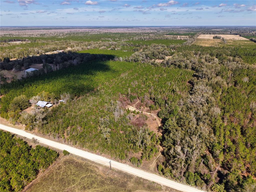 An aerial view shows a rural dirt road bordering a wooded lot with a house — Lot 17 SW 80TH STREET, TRENTON, FL