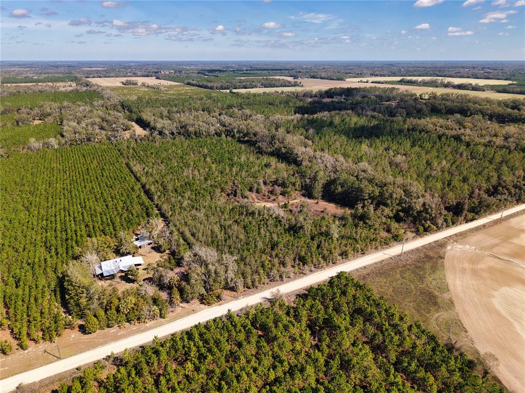 An aerial view shows a house surrounded by dense forest and open fields — Lot 17 SW 80TH STREET, TRENTON, FL
