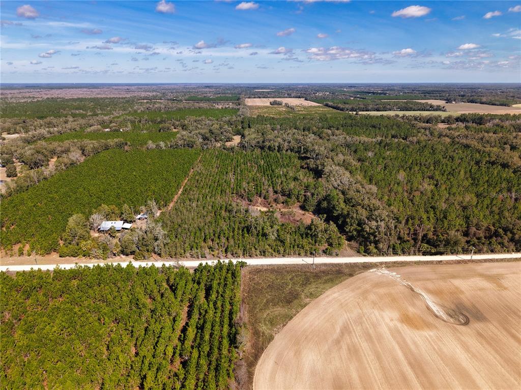 An aerial view shows a rural property with a house, dense forest, and open fields — Lot 17 SW 80TH STREET, TRENTON, FL