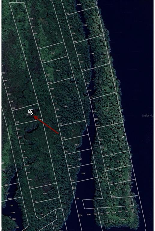 This is an aerial map showing a grid of undeveloped land parcels with a red arrow — 1204 MALALUKA COURT, PUNTA GORDA, FL