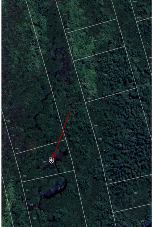 This is a satellite map view showing property lot lines and a highlighted parcel — 1204 MALALUKA COURT, PUNTA GORDA, FL
