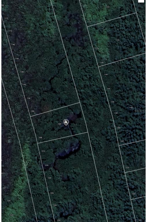 This is a satellite map view showing a rectangular land parcel marked with a location pin — 1204 MALALUKA COURT, PUNTA GORDA, FL