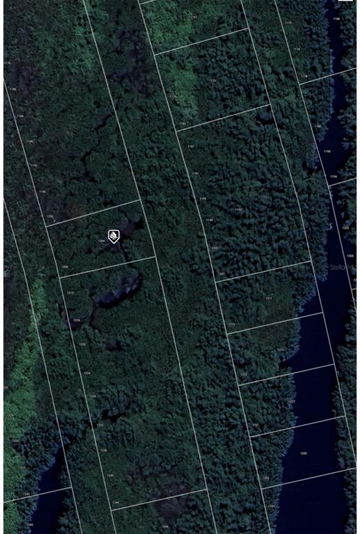 This is a satellite map view showing multiple rectangular land parcels with dense tree cover — 1204 MALALUKA COURT, PUNTA GORDA, FL