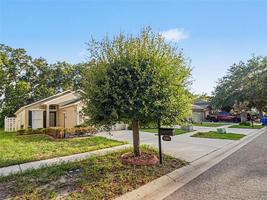 A single-story house with a tan exterior and a prominent tree in the front yard — 13803 GENTLE WOODS AVENUE, RIVERVIEW, FL
