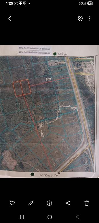 SHORT PARCEL 2003054, MIMS, FL — photo 3 of 9