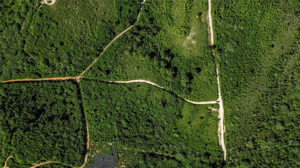 An aerial view shows a dirt road intersecting through a large, undeveloped green wooded lot — CARR 3301 KM 1.9 101 COMBATE UNIT 101, CABO ROJO, PR