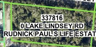 This is an aerial map view of a wooded plot of land — LAKE LINDSEY ROAD, NOBLETON, FL