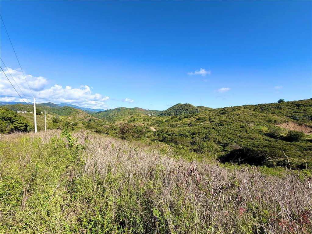 A view of a grassy hillside overlooking rolling green mountains under a clear blue sky — URB.VISTAS DEL RODADERO, YAUCO, PR
