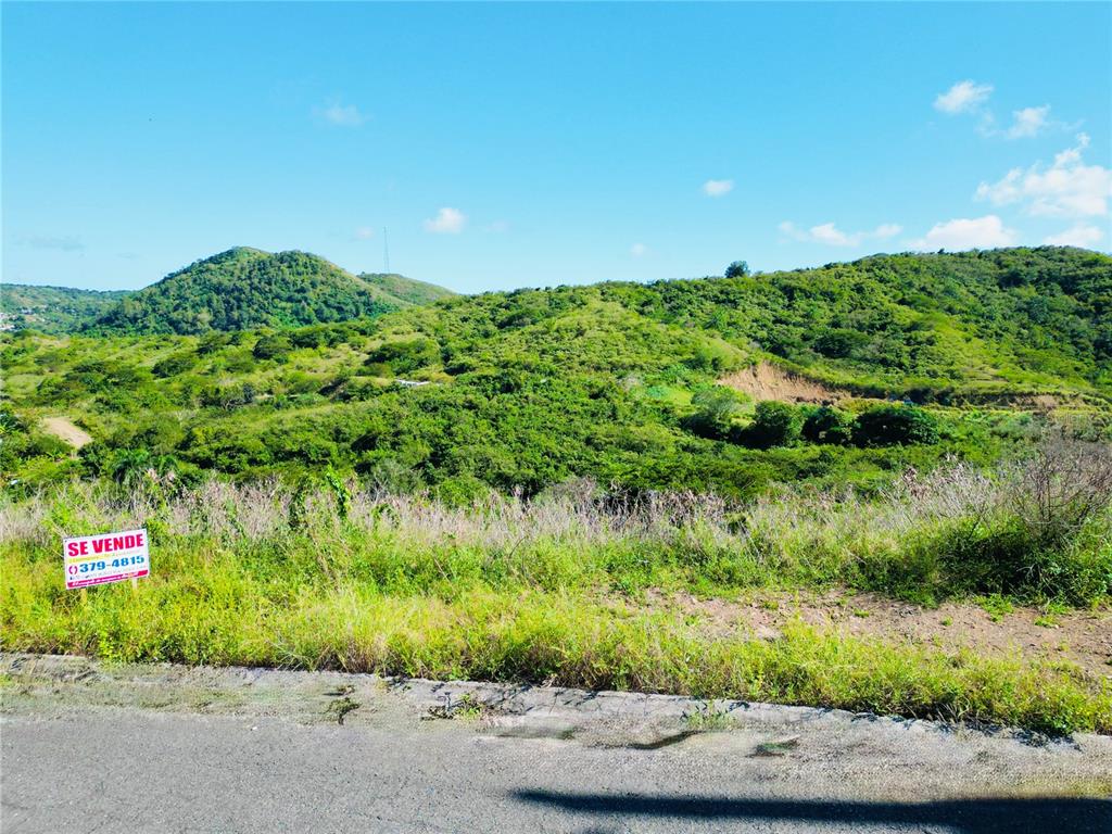 A grassy, sloped plot of land with a for-sale sign sits beside a paved road — URB.VISTAS DEL RODADERO, YAUCO, PR