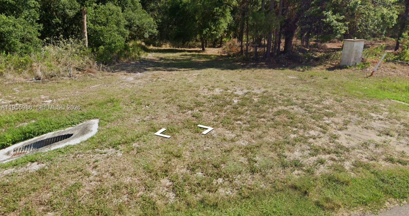 A grassy, undeveloped residential lot features a concrete drainage culvert and surrounding trees — 1716 Magnolia St, Sebring FL 33875, SEBRING, FL